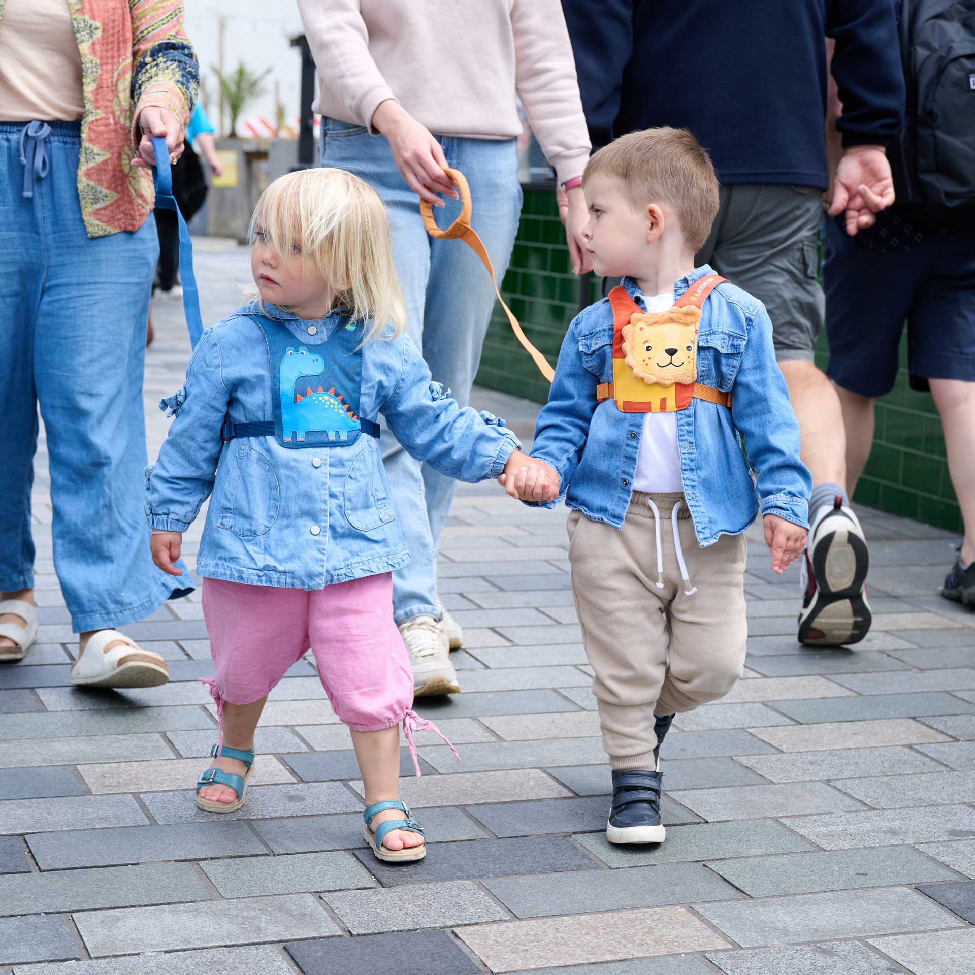 Dinosaur Toddler Reins - Image 3