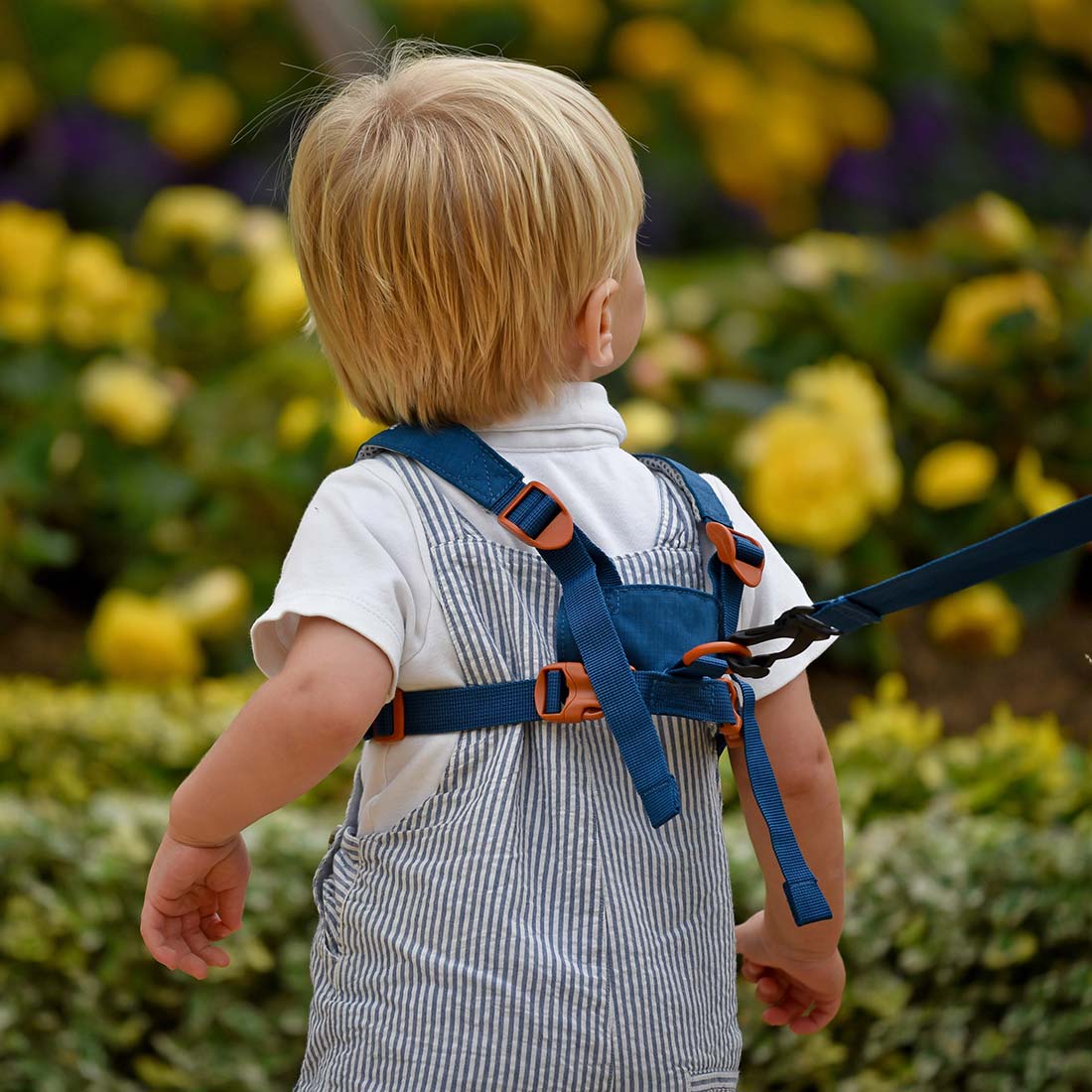 Dinosaur Toddler Reins - Image 6