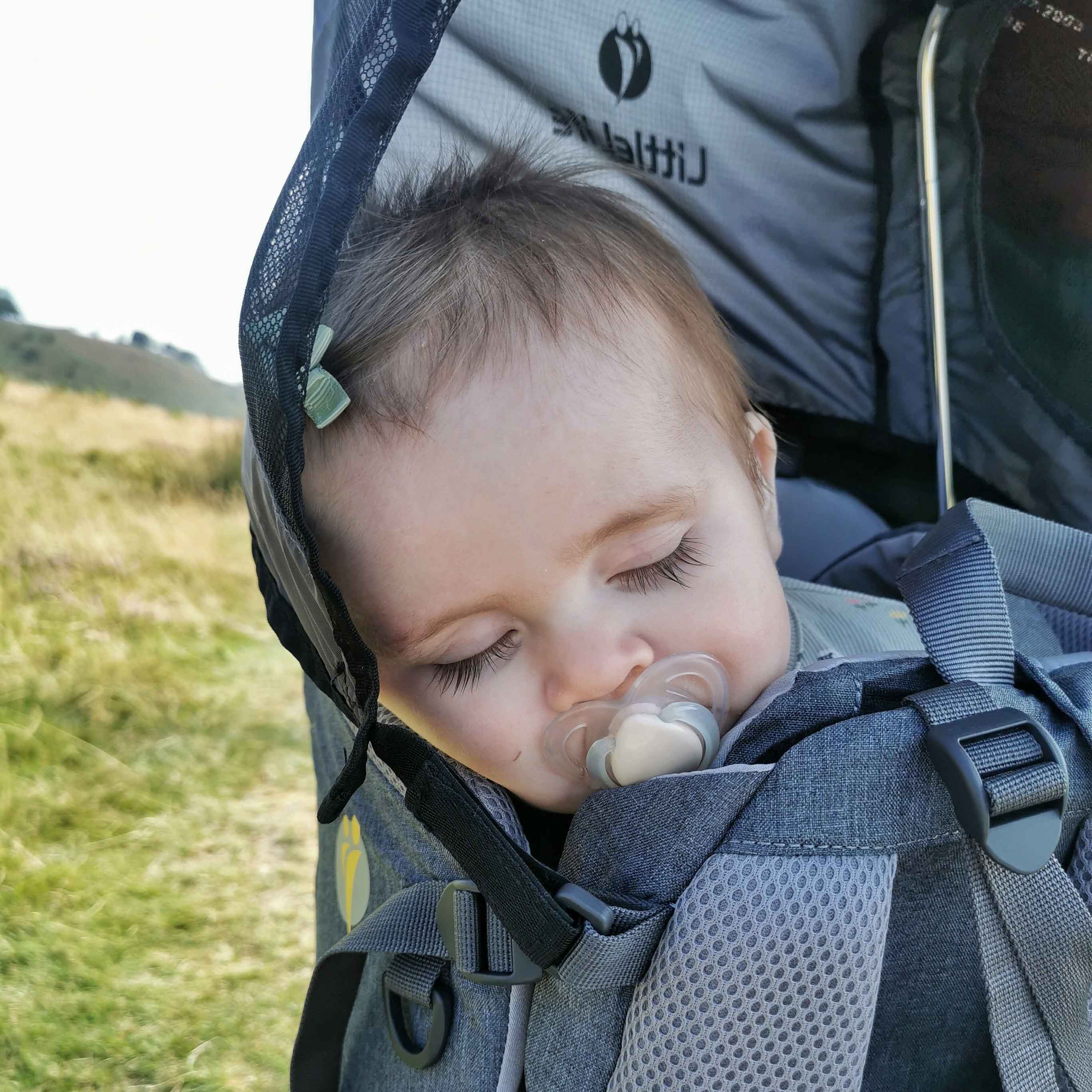 Pathseeker Child Carrier - Image 13