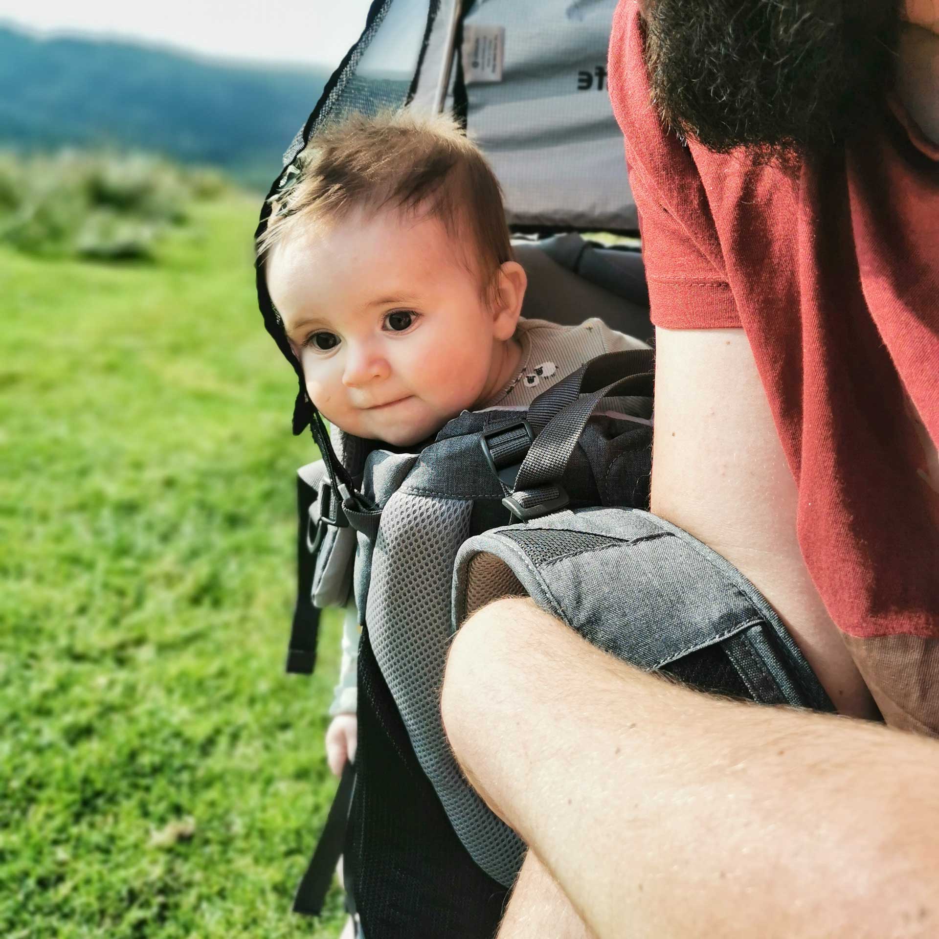 Pathseeker Child Carrier - Image 3