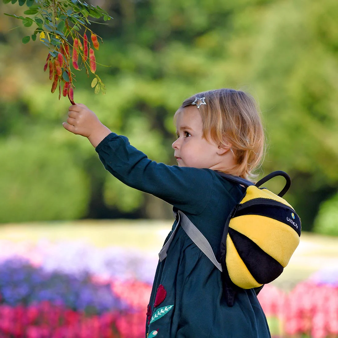 Bee Toddler Backpack with Rein - Image 3