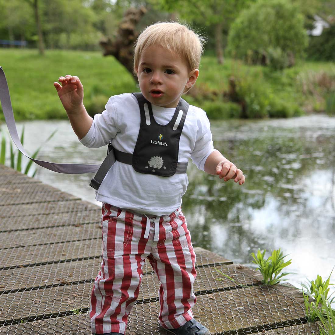 Toddler Reins - Image 20